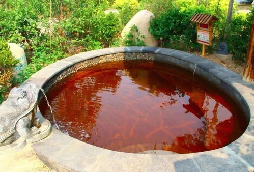 298元抢德百温泉套餐 泡天然地热温泉,吃豪华自助早餐,逛旅游小镇