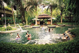 北碚 打好温泉牌助推全域旅游提档升级