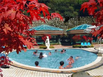 【关注】在我县的全域旅游专题讲座上,陈钢是怎么说的?