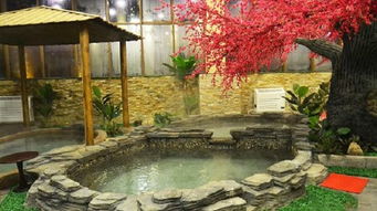 大邑花水湾樱花柏栎度假酒店 原花水湾中旅樱花宾馆 2晚 双早 双人仿日式温泉