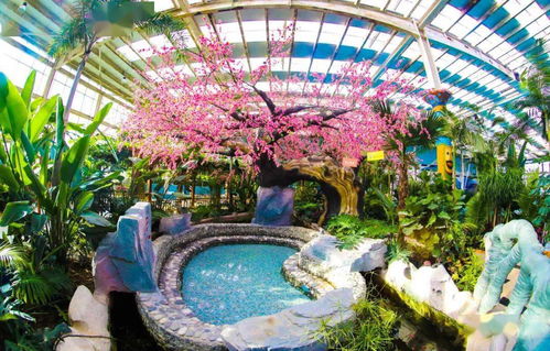 温泉县 端稳 生态碗 吃上 旅游饭