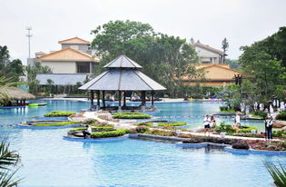 影帝华哥常来拍戏的中山小镇,如今竟想 泡 出新名堂