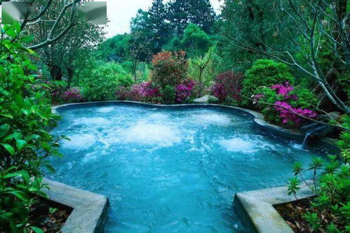 冬航季来了 秋风渐起时,邂逅腾冲那一泓泓温暖的泉