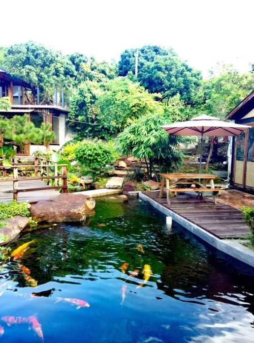 江门台山三合镇首届温泉旅游文化节开幕 温泉盛宴，活动纷呈