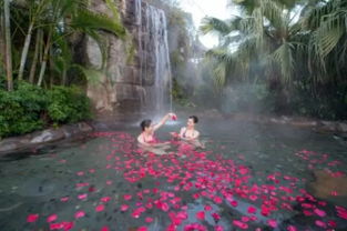 2017清远英德温泉旅游文化节开幕 真山真水真温泉，静待您来约